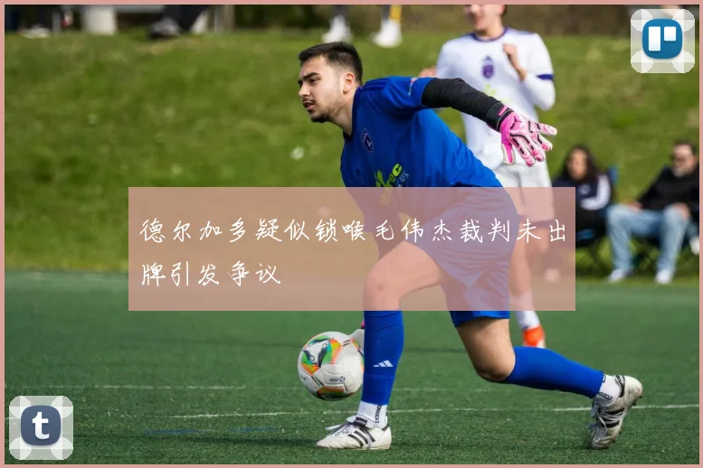 德尔加多疑似锁喉毛伟杰裁判未出牌引发争议